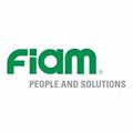 Fiam 01-1105  FG10121
